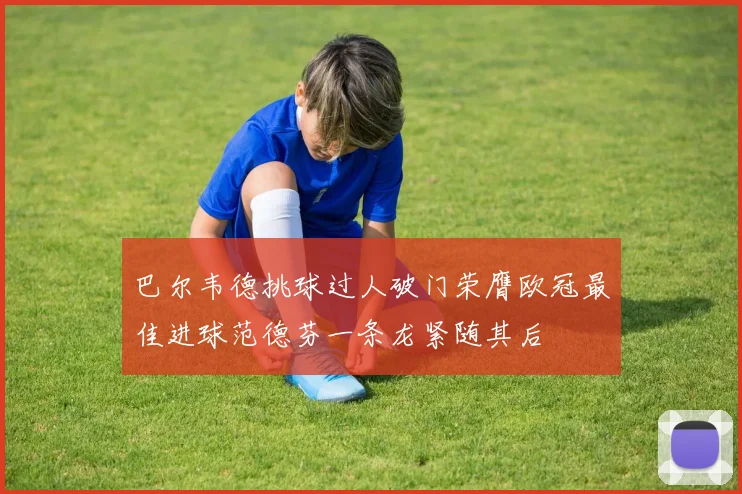 巴尔韦德挑球过人破门荣膺欧冠最佳进球范德芬一条龙紧随其后